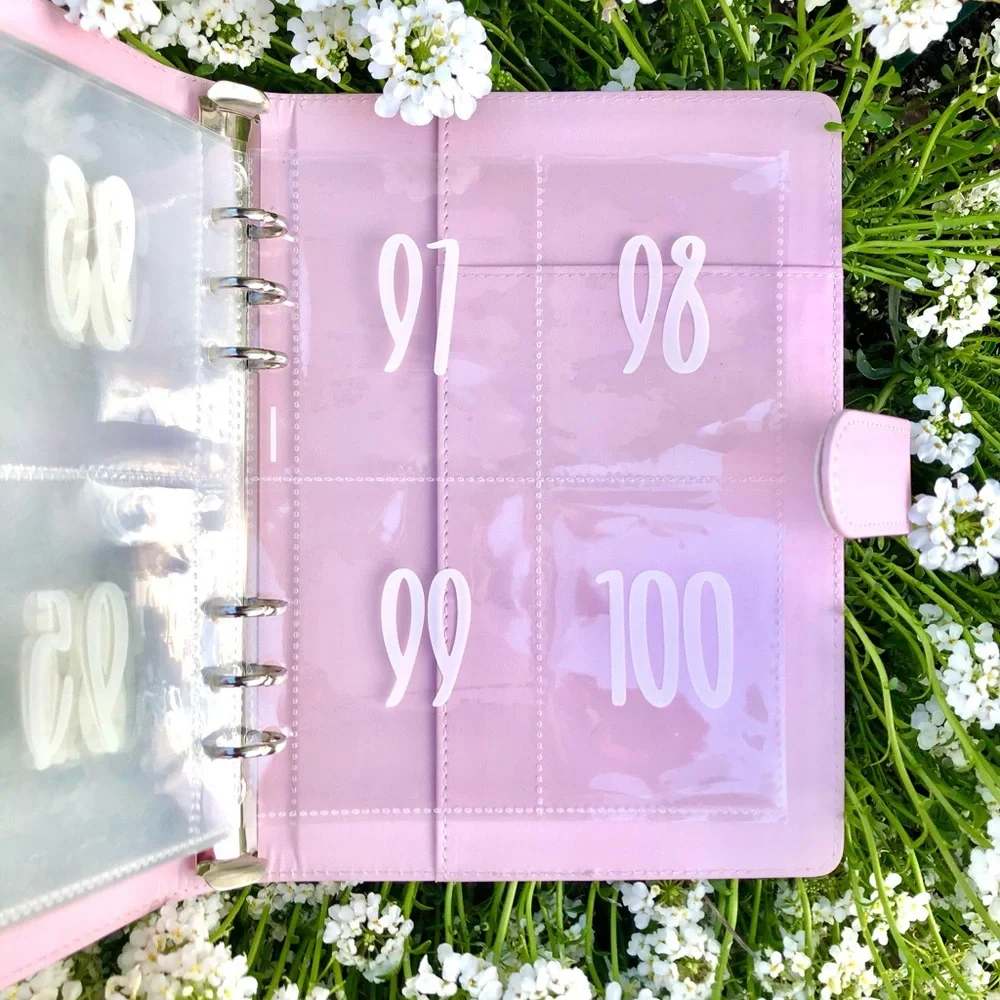 Money Stuffing Challenge Tracker (100 Envelopes)